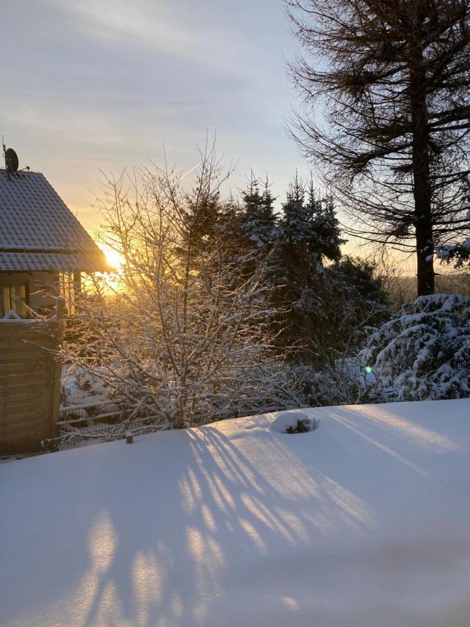 Ferienhaus Sauerlandtraum Винтерберг Екстериор снимка